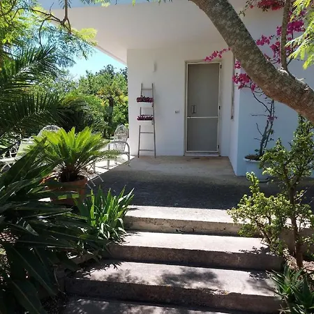Anime Sante Tatil Evi